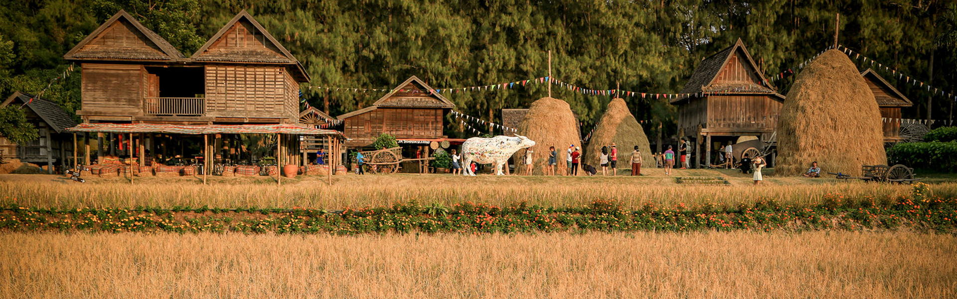 slide_04_1920x600